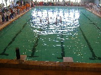 dscf7885.jpg