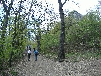 dscf8205.jpg