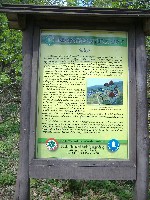 dscf8206.jpg