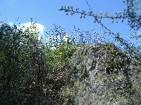 dscf8253.jpg