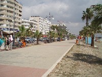 p4126272.jpg