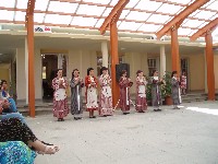 p4146312.jpg