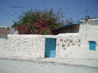 p4166366.jpg