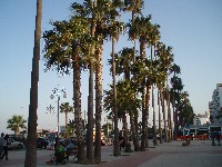 p4176388.jpg