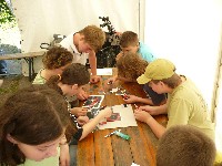 p1050048.jpg