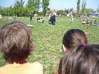 p1050050.jpg