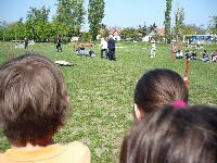 p1050051.jpg