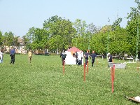 p1050056.jpg
