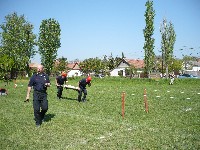 p1050066.jpg