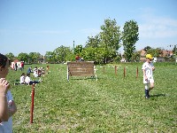 p1050121.jpg
