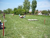 p1050139.jpg