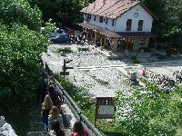 dscf8613.jpg