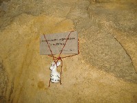 dscf8636.jpg
