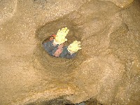 dscf8657.jpg