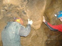 dscf8660.jpg