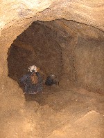 m_ty_s_barlang_031.jpg
