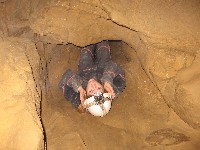 m_ty_s_barlang_050.jpg