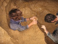m_ty_s_barlang_058.jpg