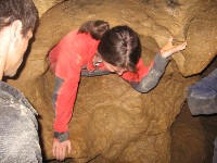 m_ty_s_barlang_060.jpg