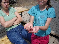 dsc05122.jpg