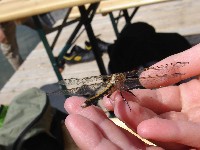 dsc05123.jpg