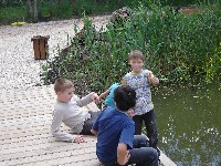 dsc05126.jpg
