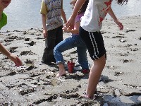 dsc05131.jpg