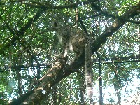 p1150026.jpg