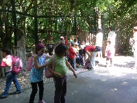 p1150031.jpg