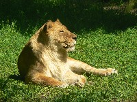 p1150038.jpg