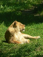 p1150040.jpg