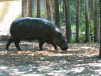 p1150048.jpg