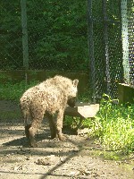 p1150050.jpg