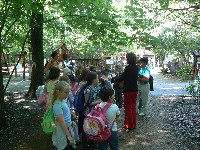 p1150065.jpg
