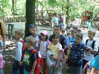 p1150066.jpg