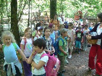p1150067.jpg