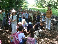 p1150079.jpg