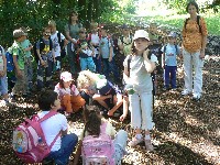 p1150080.jpg