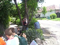 sany0104.jpg