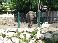 budapest_032.jpg