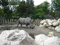 budapest_039.jpg