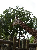 budapest_040.jpg
