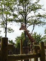 budapest_042.jpg