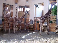 budapest_043.jpg