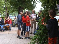 suc51630.jpg