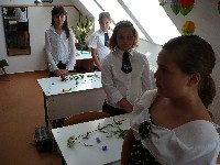 p1140002.jpg