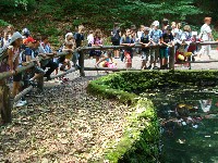 mesefalva_2010_pataki_095.jpg