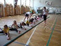 edz_t_bor_2010_092.jpg