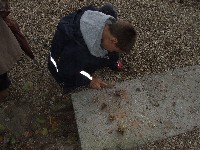 2010_0101rajzverseny20080006.jpg