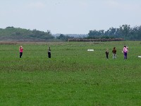 k_p7_100.jpg